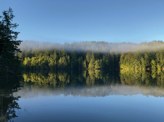 Evenlode Global Opportunity